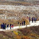 충주시, 2025 비내섬 축제 더 재밌게, 더 가깝게 이미지