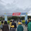 새서귀초등학교 | 2024 서귀포유채꽃국제걷기대회 기본정보 이벤트 행사 안내 및 작년 후기