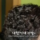 멋쟁이가발