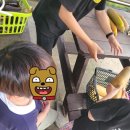 보은농장 | 충북 보은 숙소 산모랭이풀내음펜션 아이와가볼만한곳 수영장 농촌체험