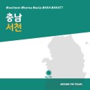 신성리갈대밭습지생태길 | [국내가볼만한곳] #서천 #충남 #가볼만한곳7 #지역축제 #추천음식3 #추천호텔4 #AK477