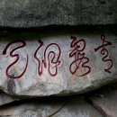 솔숲갈래길 이미지