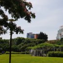 국채보상운동기념공원 이미지