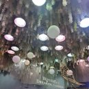 호랑이약품 | 돌전 10개월 아기랑 에버랜드 준비물 가격 식당 꿀팁 : 튤립축제 워킹 사파리 판다월드 평일 후기