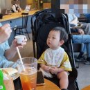 <b>친구들</b>을 만나요 <b>빠른</b>육퇴를 위한 한방이의 체력 빼기