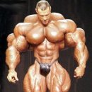 더 헐크 이미지