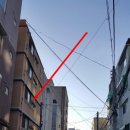 남구-83 이미지
