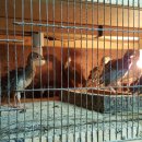 한종농장 이미지