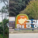 금광호수 이미지