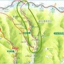 제12차 정기산행(8월15일)/백무동계곡(종료) 이미지