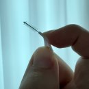 올리브덴탈강남점 | 올리브영 덴탈프로 치간칫솔 후기, 아무리 양치해도 입냄새 난다면?