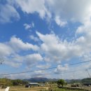 이서면사무소 앞 이미지