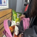 세탁마을직영점 | 2026,2월 일상기록