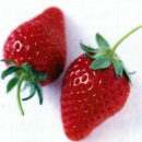 딸기-화방교체 늦어 물량 공백…‘육보’ 2㎏ 최고 18,000원 이미지