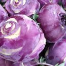 띠앗농장 이미지