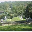 권희 묘 이미지