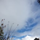 그리피스모텔 이미지