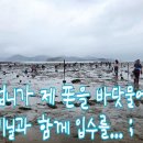 제 폰이 바닷물에 입수;;;;;;; 이미지