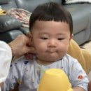 피자에땅내서점 이미지