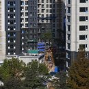 (주)리더스헬스케어 이미지