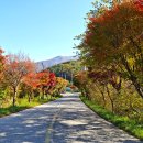 월성계곡 화장실 이미지