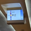 공임천국 대선정비 | 부산 여행이라고 쓰고 이재모 피자라고 읽는다.