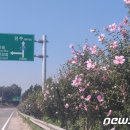 무궁화100리길 이미지