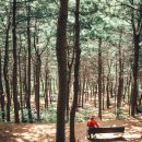 서울숲길 이미지