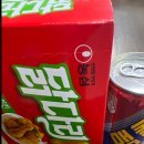 한백체육관 | 말복 치맥이벤트 한백태권도장 !