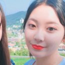 씨젤리피쉬 이미지