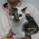 해동물병원 이미지