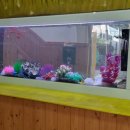 오성초등학교병설유치원 이미지