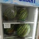 꼬마청과