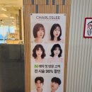 바이찰스리