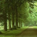 이준비뇨기과의원 이미지