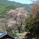 순천-35호 네이버블로그
