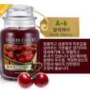 체리공인중개사사무소 이미지