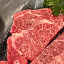 한우사육 | 강릉 돼지갈비 한우 맛집 초당우가 애견동반 식당 세인트존스호텔 근처 맛집 후기