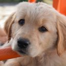 벤츠 노래연습장 이미지