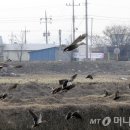 밀거래