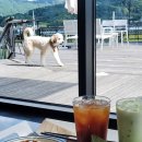 흥대길 | 원주대형카페 스터디 빈백 한라대예쁜카페 카페투파인