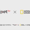 리틀마이펫 이미지