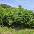 큰골농장 이미지