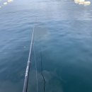 유촌1호 이미지