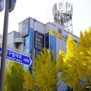 계명대학교 정문 맞은편 이미지