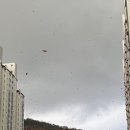 뽂기뽂기 | 십일기