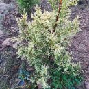 나눔농원 이미지