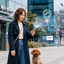 주식회사 패밀리렌트카