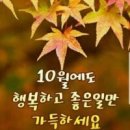당구포켓클럽 이미지