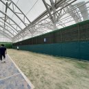 용인시립골드 테니스장 이미지